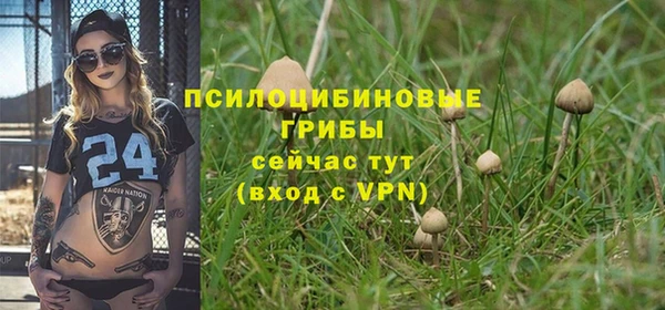 кокс Арсеньев