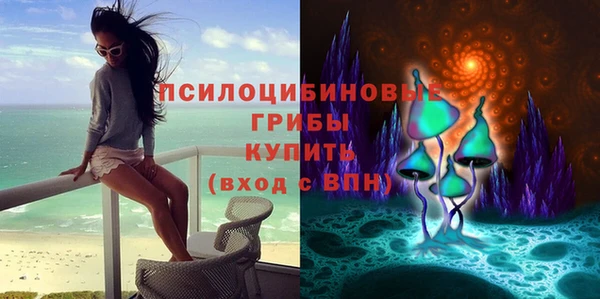 трава Армянск