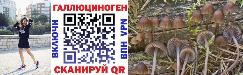 Галлюциногенные грибы Magic Shrooms  Рыбное 